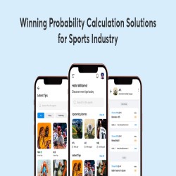 Winning Probability Calculation Digital Solution